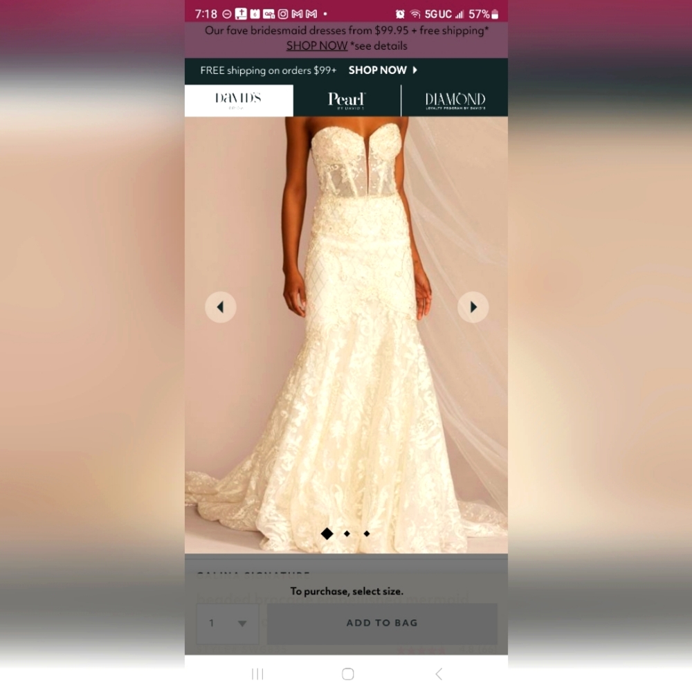 Plus Size Wedding Dress